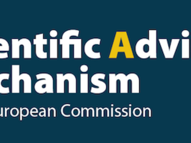 Advanced materials: Is strategic autonomy achievable for Europe?