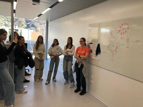 Gruppo di studentesse che discutono di disegni scientifici alla lavagna.