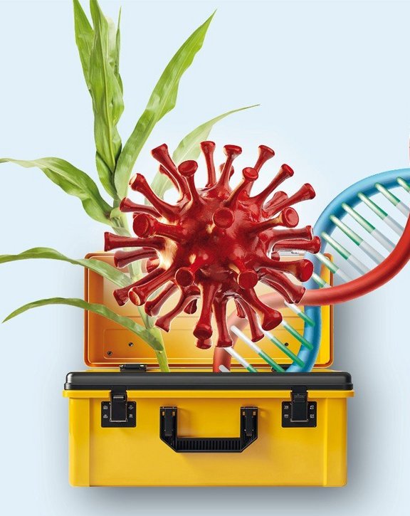 Biotechnologie – Superwerkzeugkasten Natur